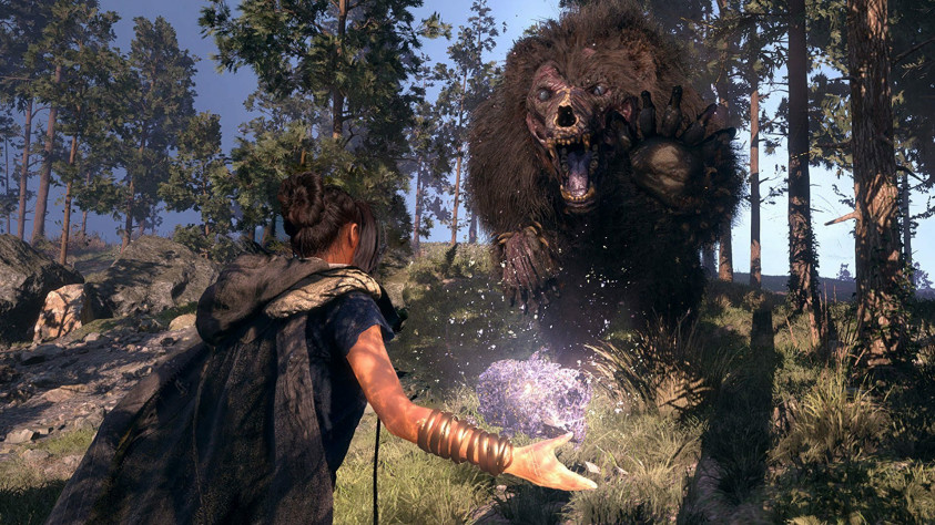 На одном из первых скриншотов игры нам как раз и показали Чапаланию. Зверя, похожего на мутировавшего медведя.