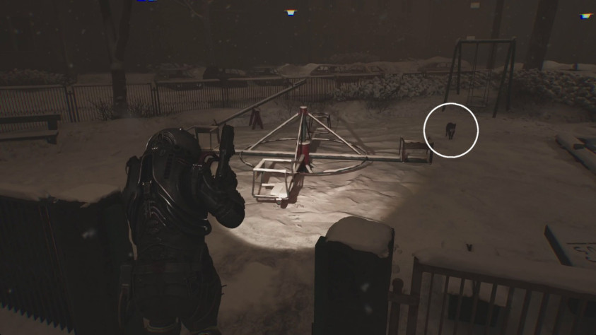 Кошка Кэрол.