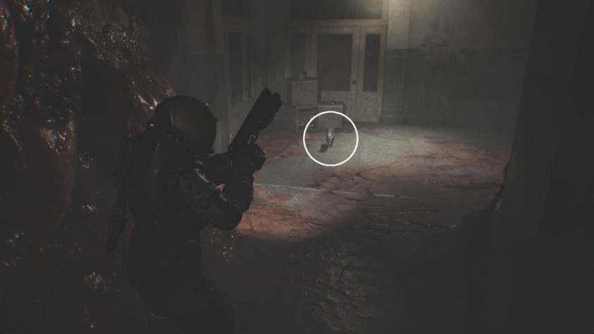 Кошка Мела.