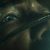 Хоррор Cthulhu: The Cosmic Abyss в стиле Лавкрафта выходит следующей весной на русском языке