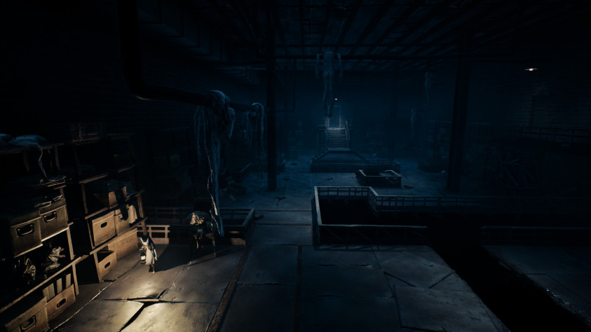 REANIMAL: Прохождение всех глав