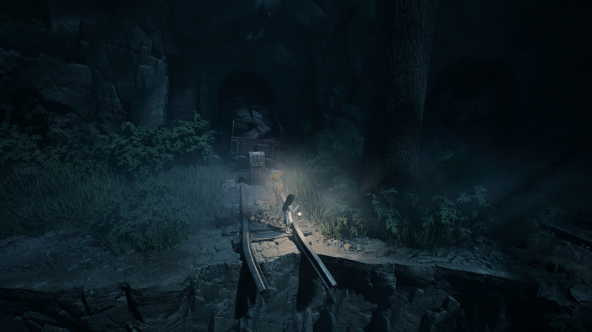 REANIMAL: Прохождение всех глав