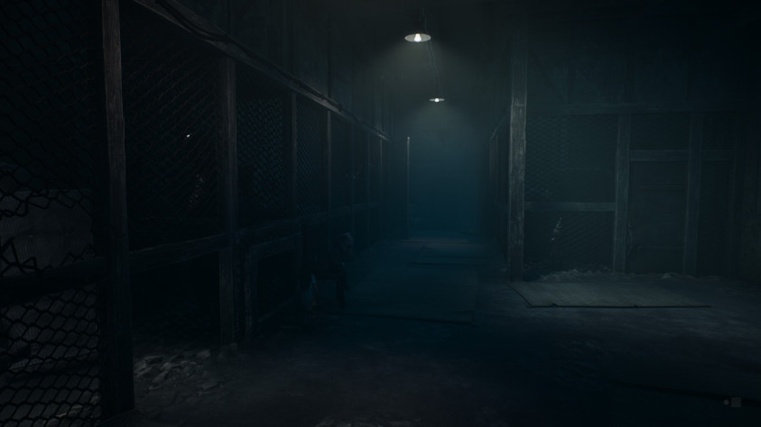 REANIMAL: Прохождение всех глав