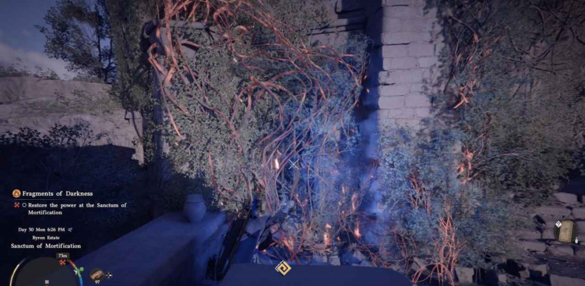 Лианы, которые нужно сжечь.