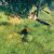 Valheim: Обзор полной версии культового выживача